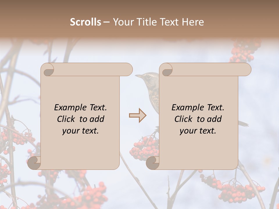 Aucuparia Wildlife Ash PowerPoint Template