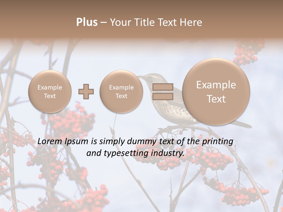 Aucuparia Wildlife Ash PowerPoint Template
