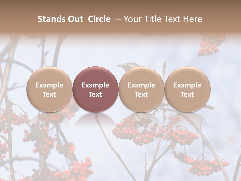 Aucuparia Wildlife Ash PowerPoint Template