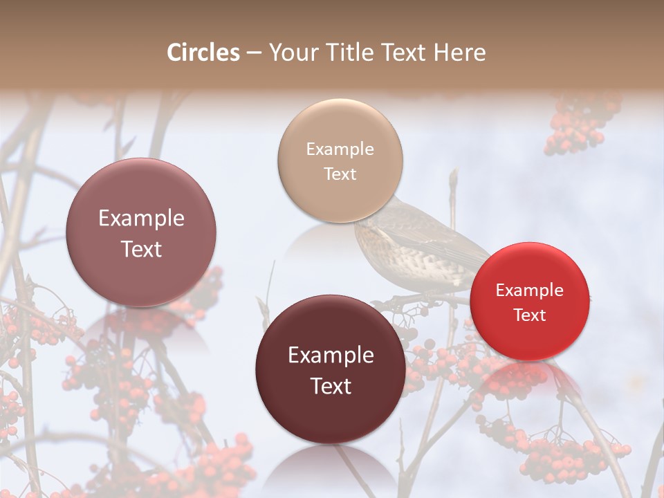 Aucuparia Wildlife Ash PowerPoint Template