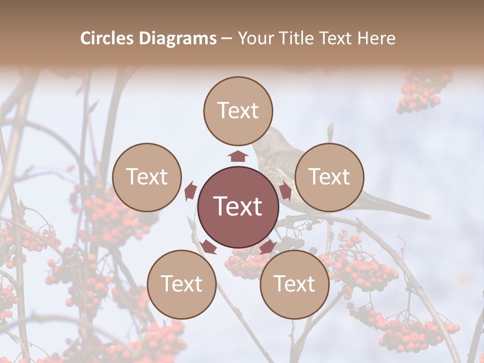 Aucuparia Wildlife Ash PowerPoint Template