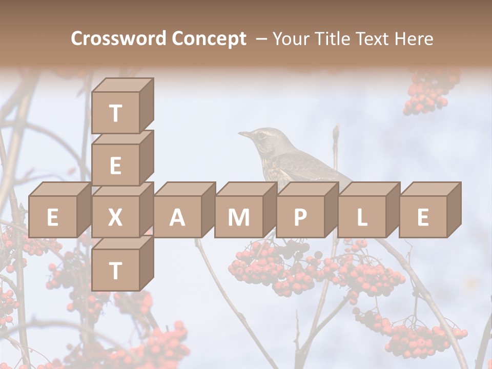 Aucuparia Wildlife Ash PowerPoint Template