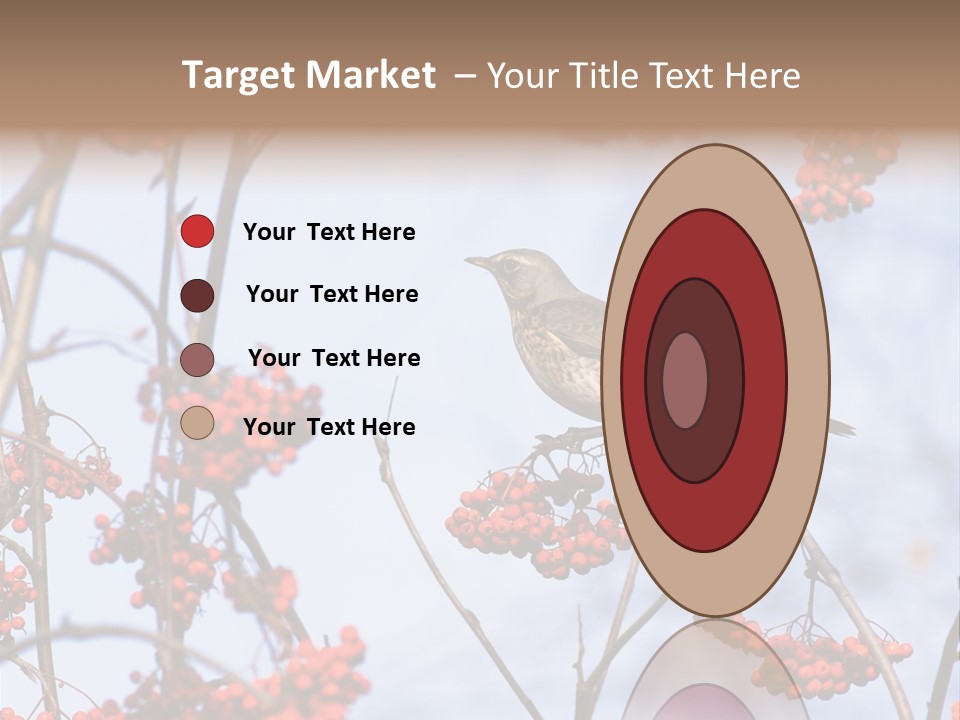 Aucuparia Wildlife Ash PowerPoint Template