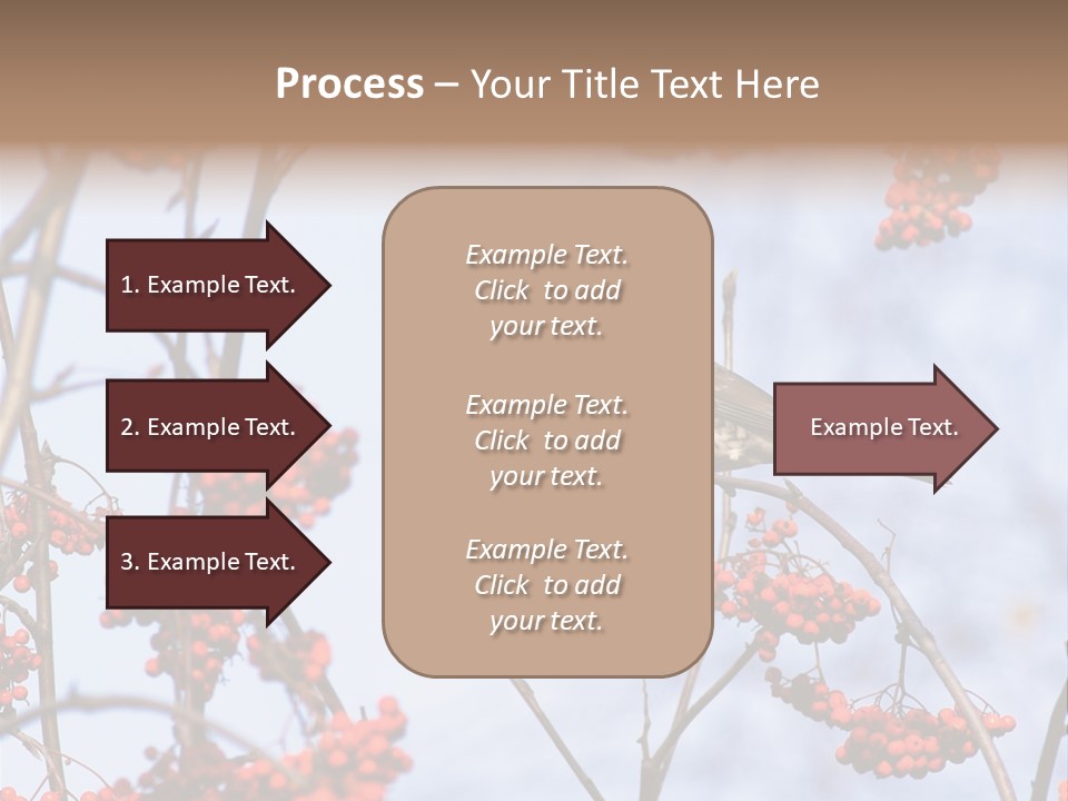 Aucuparia Wildlife Ash PowerPoint Template
