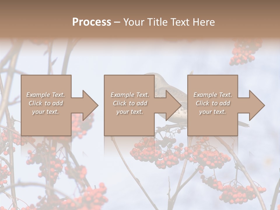 Aucuparia Wildlife Ash PowerPoint Template
