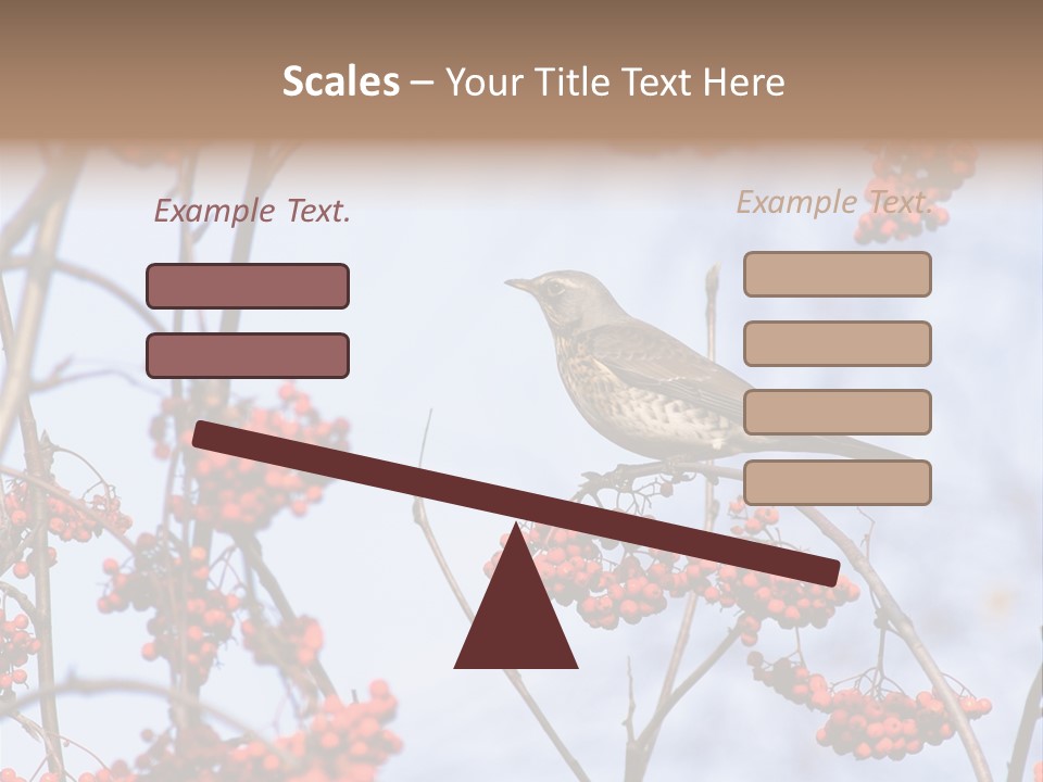 Aucuparia Wildlife Ash PowerPoint Template