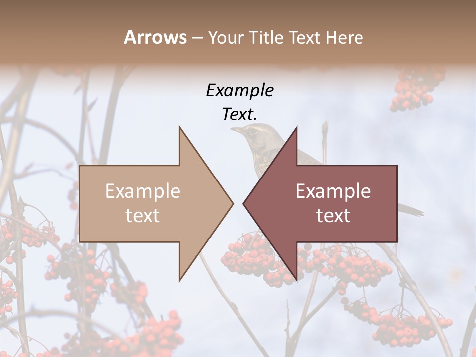 Aucuparia Wildlife Ash PowerPoint Template