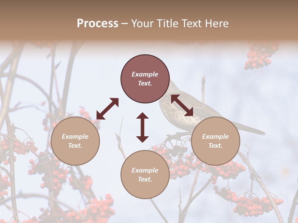 Aucuparia Wildlife Ash PowerPoint Template