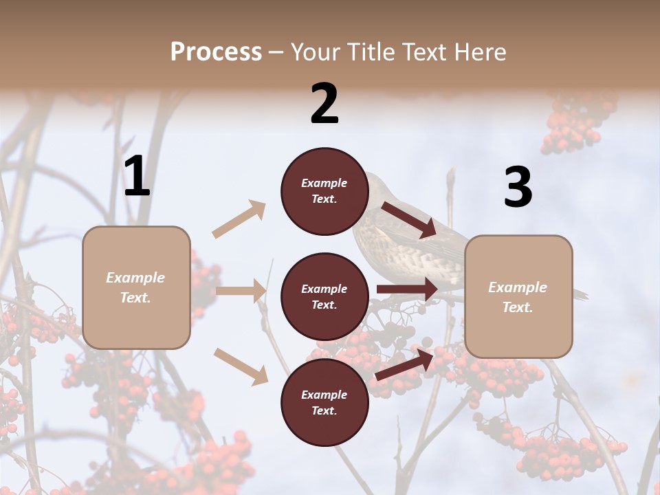 Aucuparia Wildlife Ash PowerPoint Template