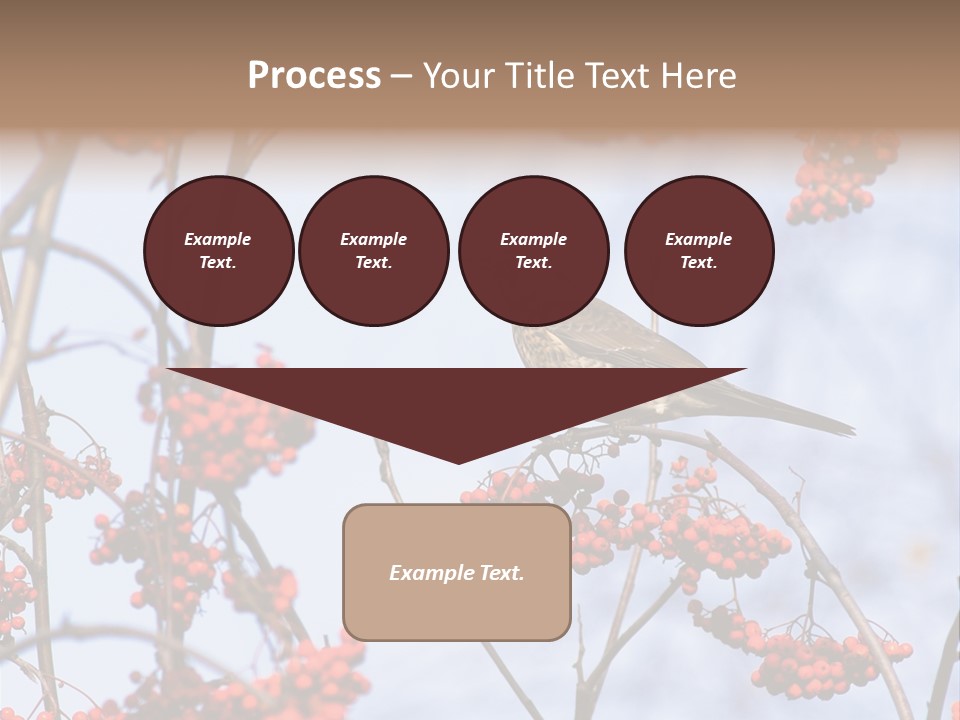 Aucuparia Wildlife Ash PowerPoint Template