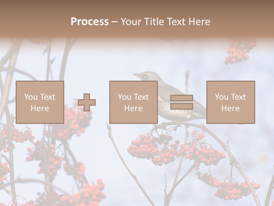 Aucuparia Wildlife Ash PowerPoint Template
