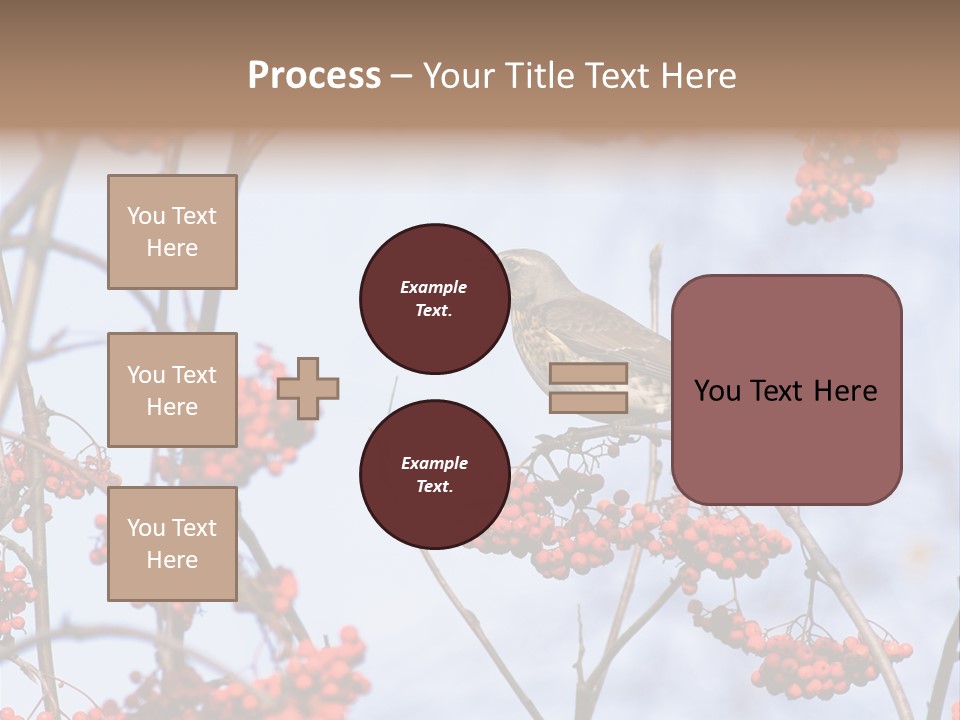 Aucuparia Wildlife Ash PowerPoint Template
