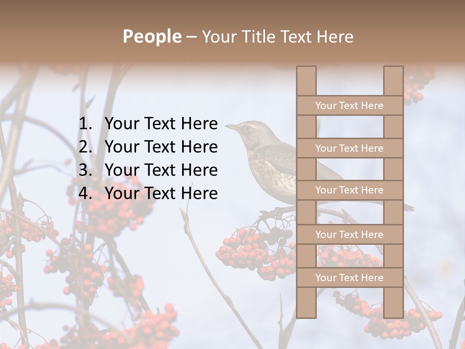 Aucuparia Wildlife Ash PowerPoint Template