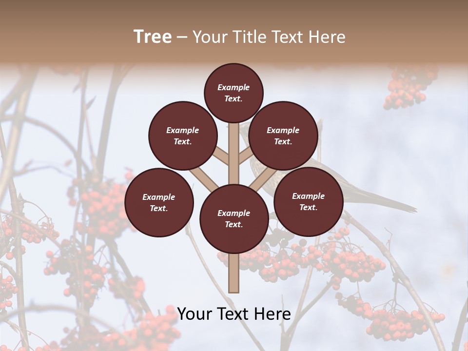 Aucuparia Wildlife Ash PowerPoint Template