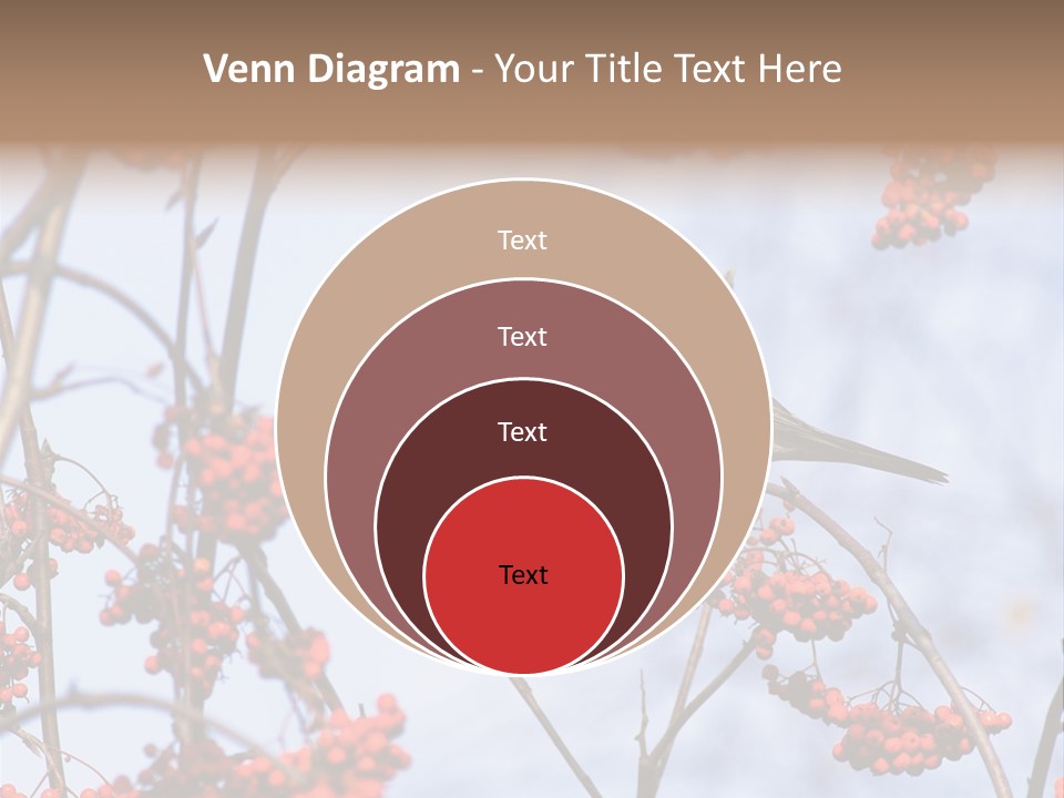 Aucuparia Wildlife Ash PowerPoint Template