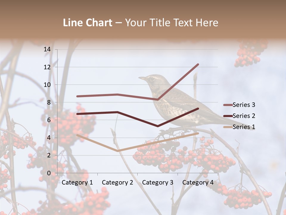 Aucuparia Wildlife Ash PowerPoint Template