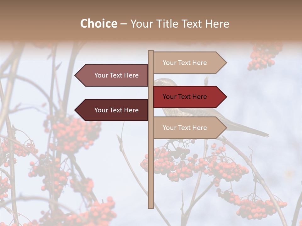 Aucuparia Wildlife Ash PowerPoint Template