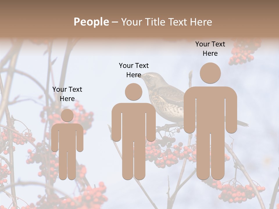 Aucuparia Wildlife Ash PowerPoint Template