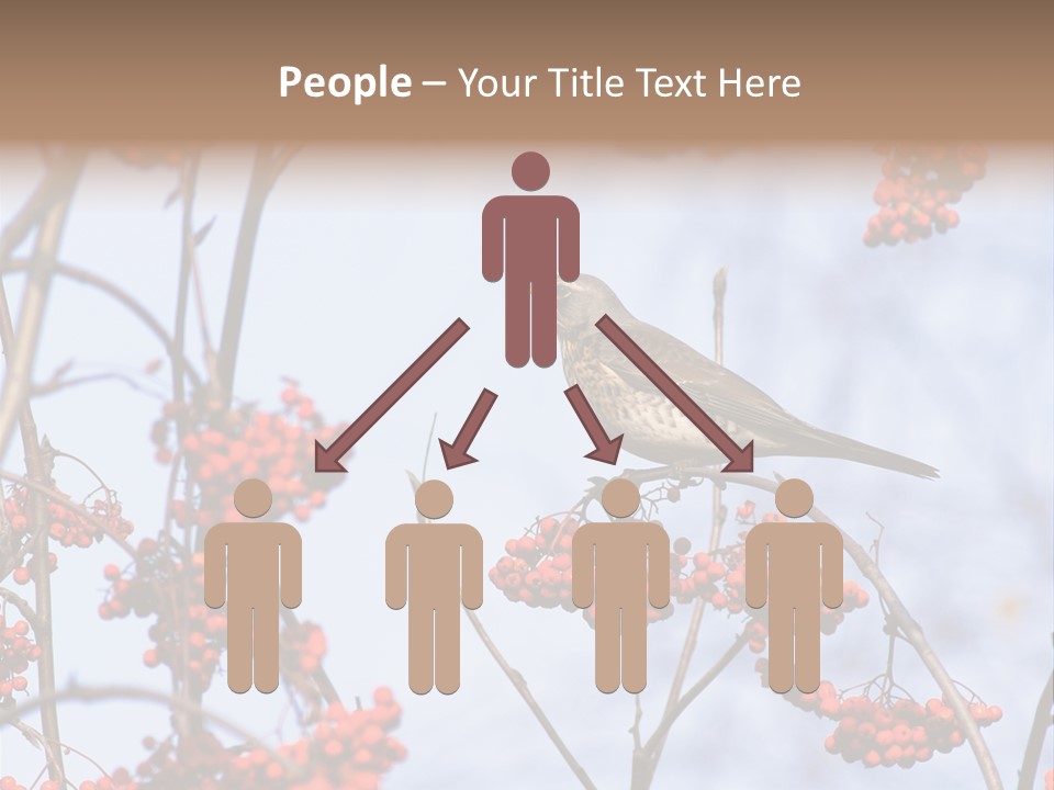 Aucuparia Wildlife Ash PowerPoint Template