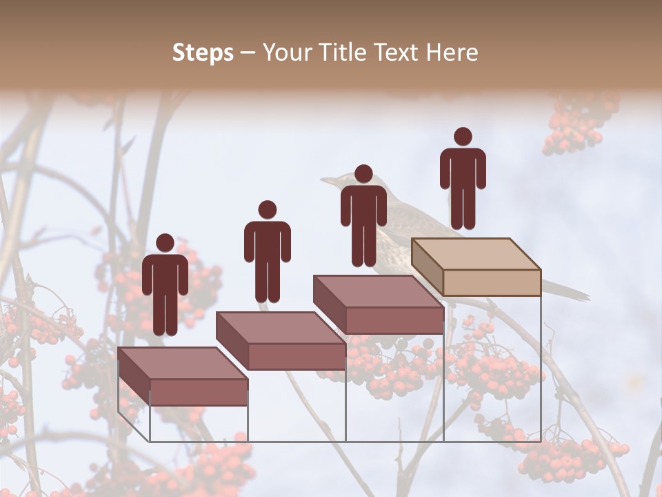 Aucuparia Wildlife Ash PowerPoint Template