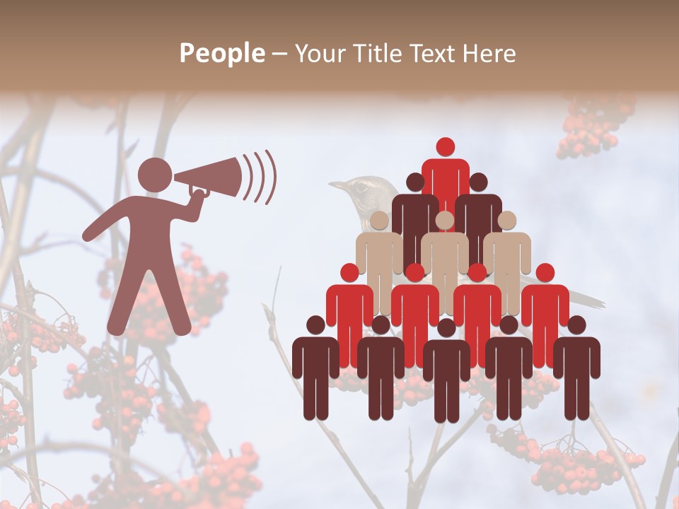 Aucuparia Wildlife Ash PowerPoint Template