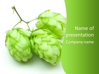 Beer Mug White PowerPoint Template