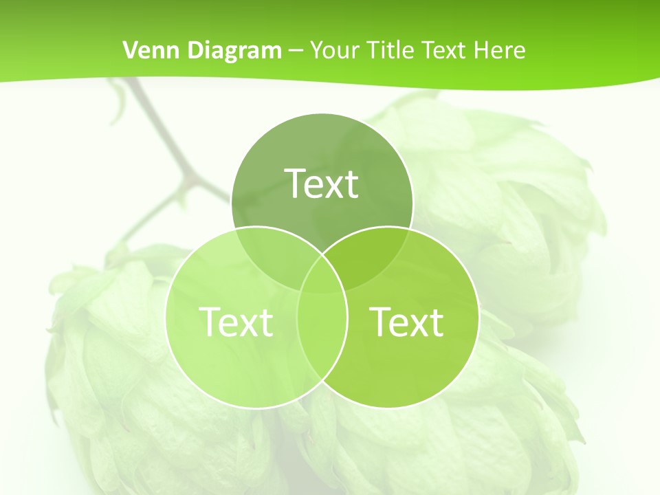 Beer Mug White PowerPoint Template