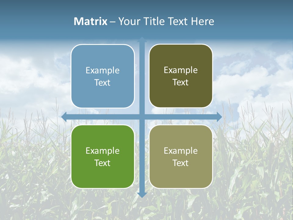 Indian Corn Sky Food PowerPoint Template
