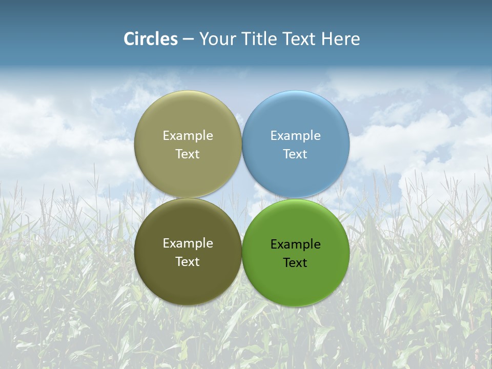 Indian Corn Sky Food PowerPoint Template