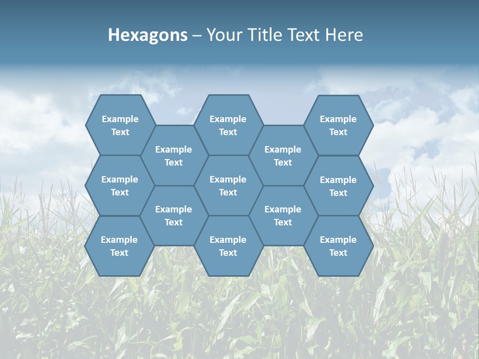 Indian Corn Sky Food PowerPoint Template