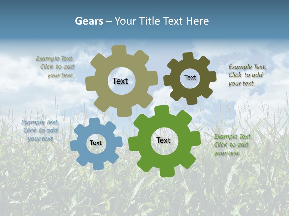 Indian Corn Sky Food PowerPoint Template