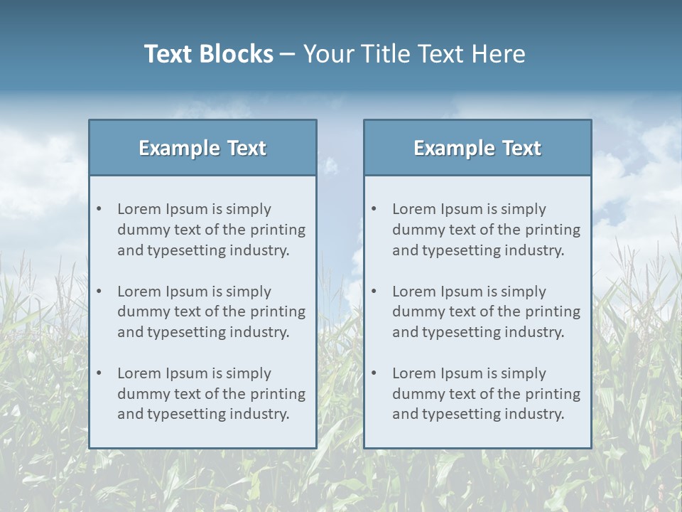 Indian Corn Sky Food PowerPoint Template