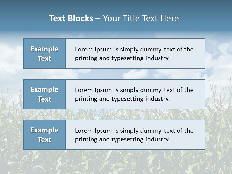 Indian Corn Sky Food PowerPoint Template