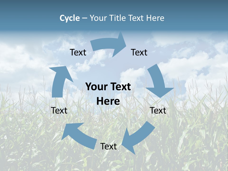 Indian Corn Sky Food PowerPoint Template