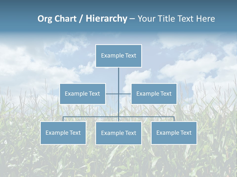 Indian Corn Sky Food PowerPoint Template