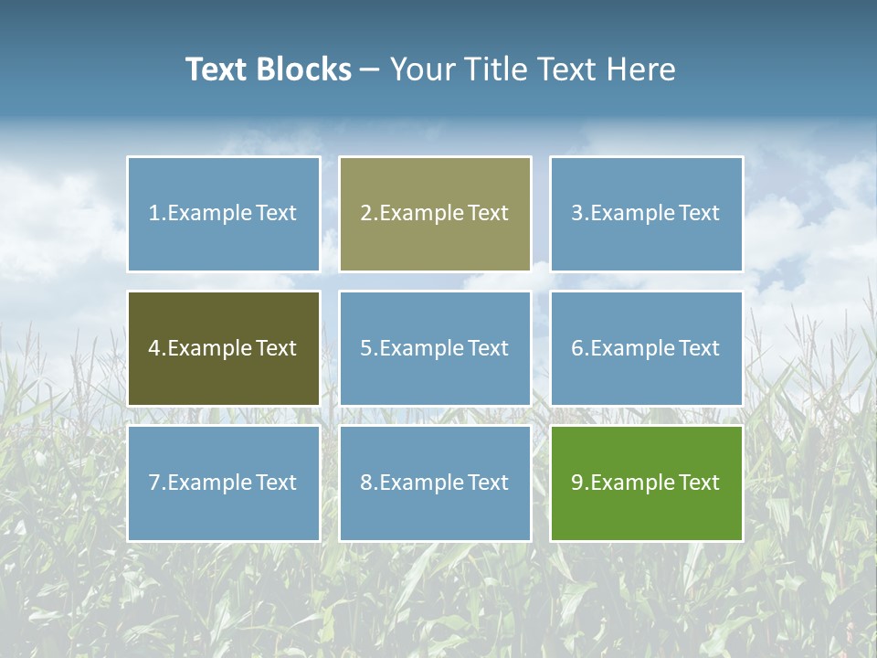 Indian Corn Sky Food PowerPoint Template