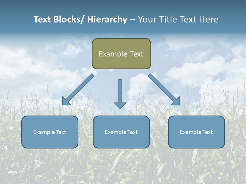 Indian Corn Sky Food PowerPoint Template