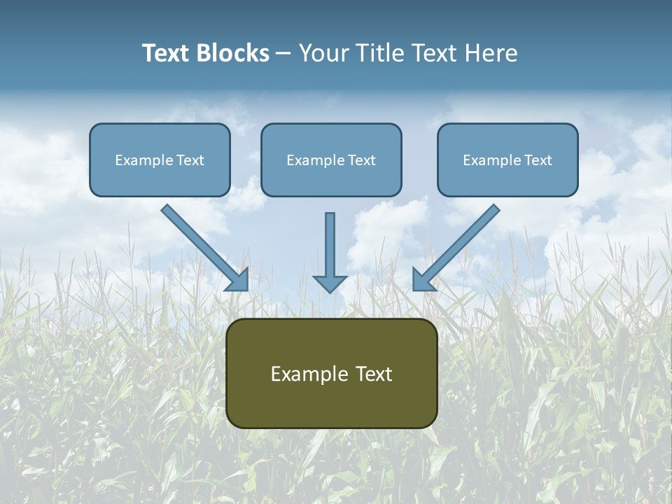 Indian Corn Sky Food PowerPoint Template