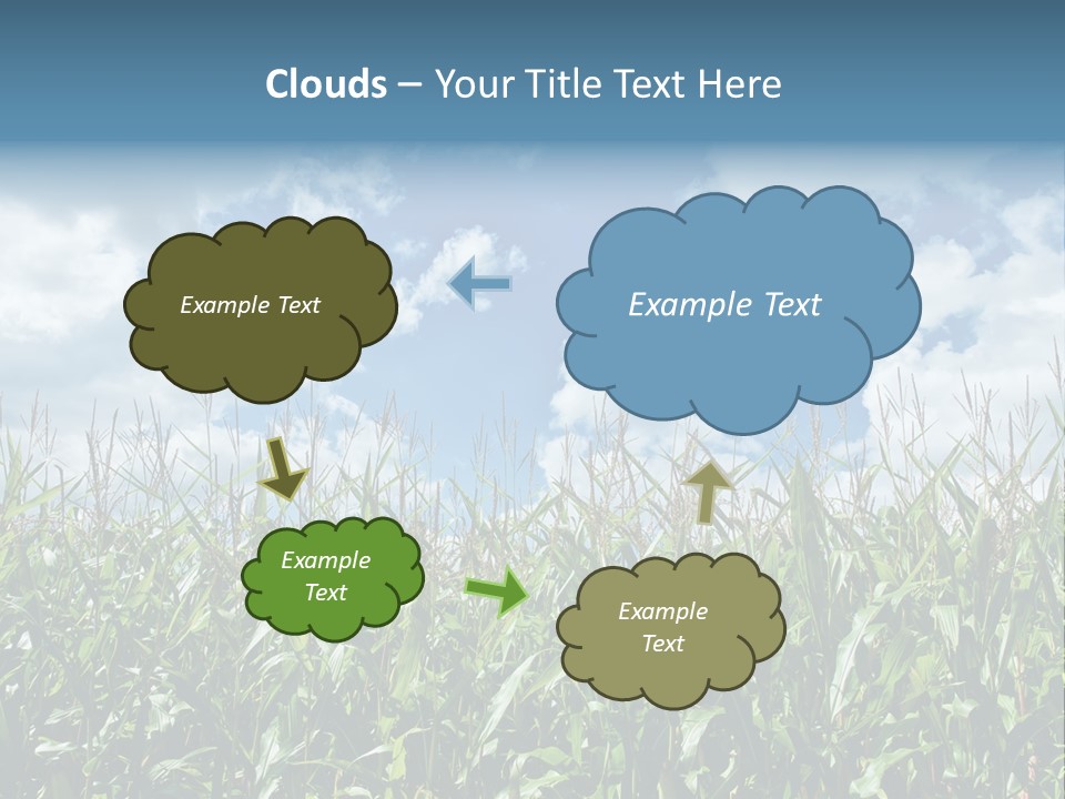 Indian Corn Sky Food PowerPoint Template