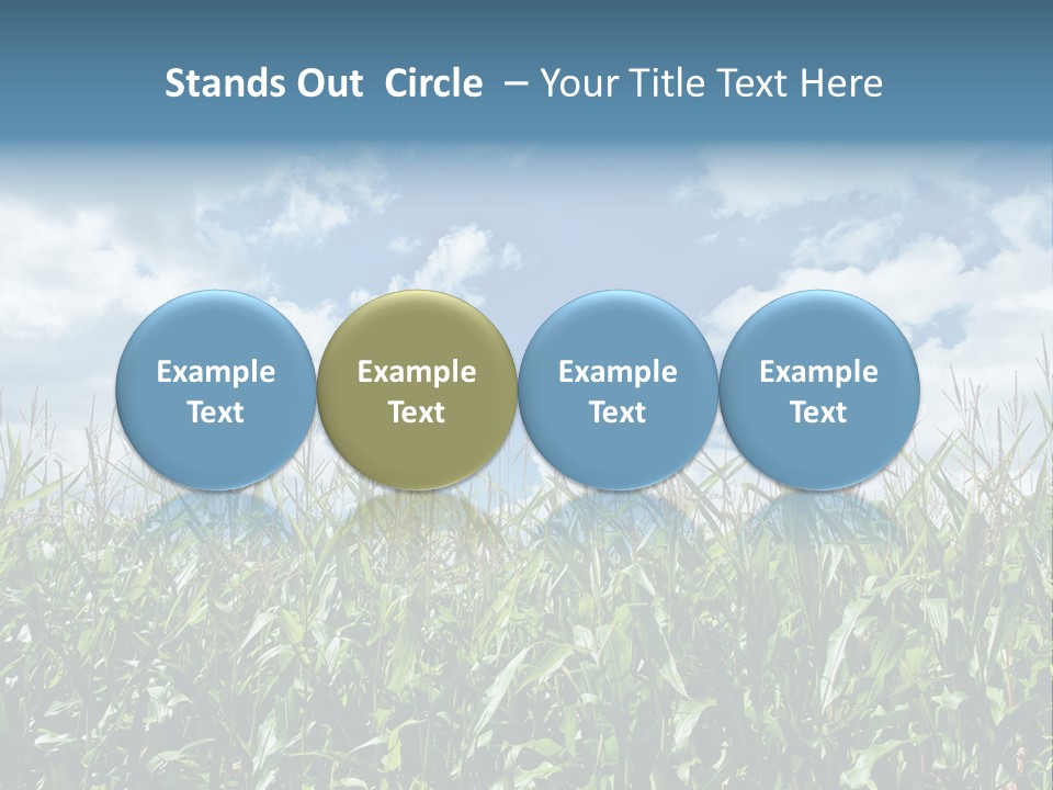 Indian Corn Sky Food PowerPoint Template