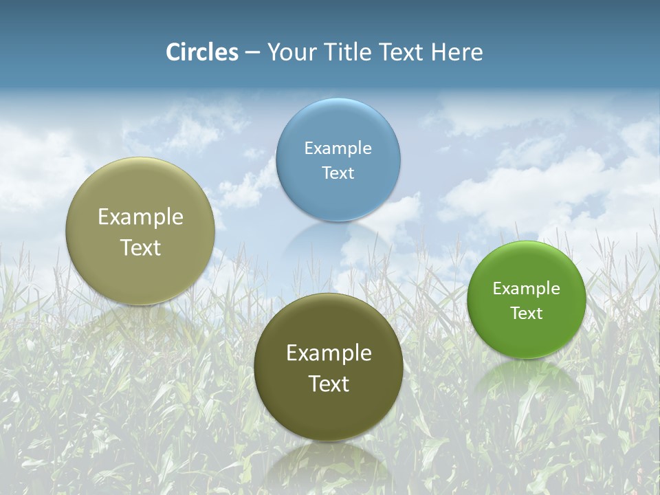 Indian Corn Sky Food PowerPoint Template