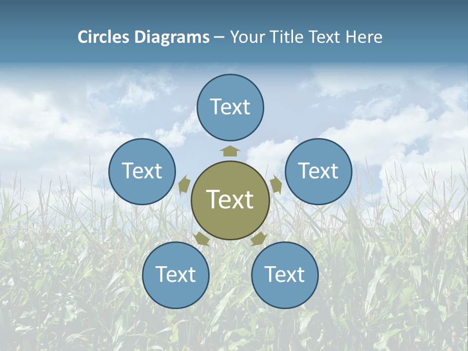 Indian Corn Sky Food PowerPoint Template