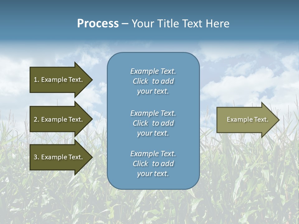 Indian Corn Sky Food PowerPoint Template