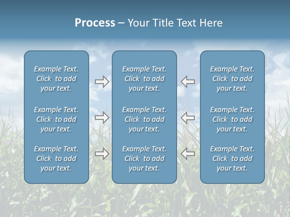 Indian Corn Sky Food PowerPoint Template