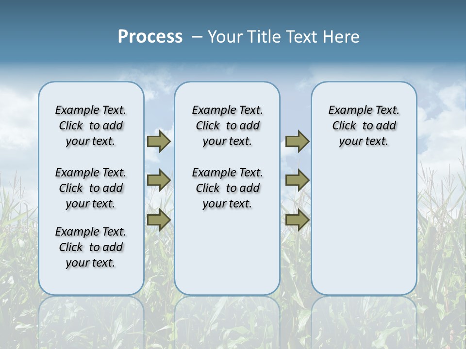 Indian Corn Sky Food PowerPoint Template