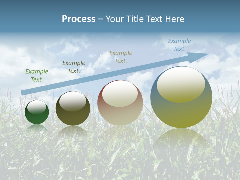 Indian Corn Sky Food PowerPoint Template