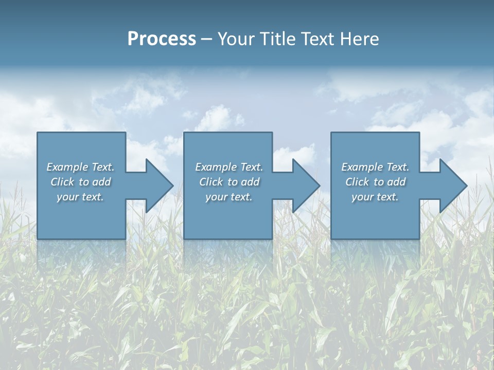 Indian Corn Sky Food PowerPoint Template
