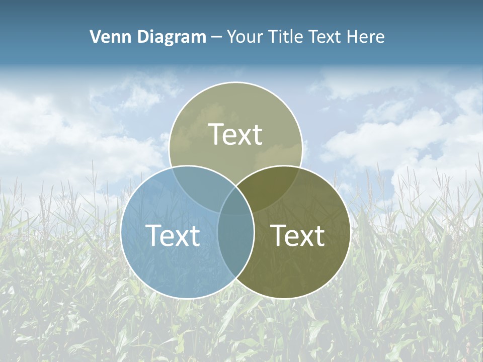 Indian Corn Sky Food PowerPoint Template