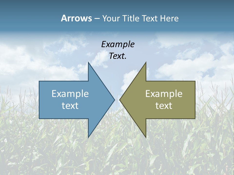 Indian Corn Sky Food PowerPoint Template