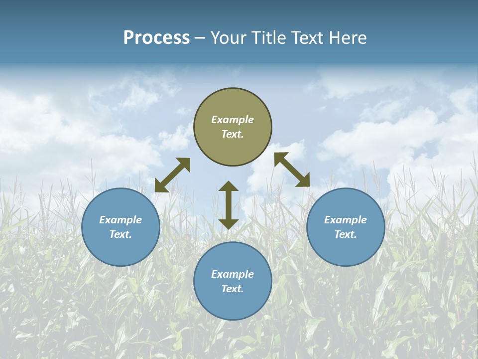 Indian Corn Sky Food PowerPoint Template